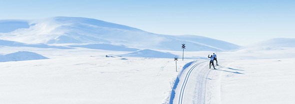Mäktiga kalfjäll utanför husknuten
