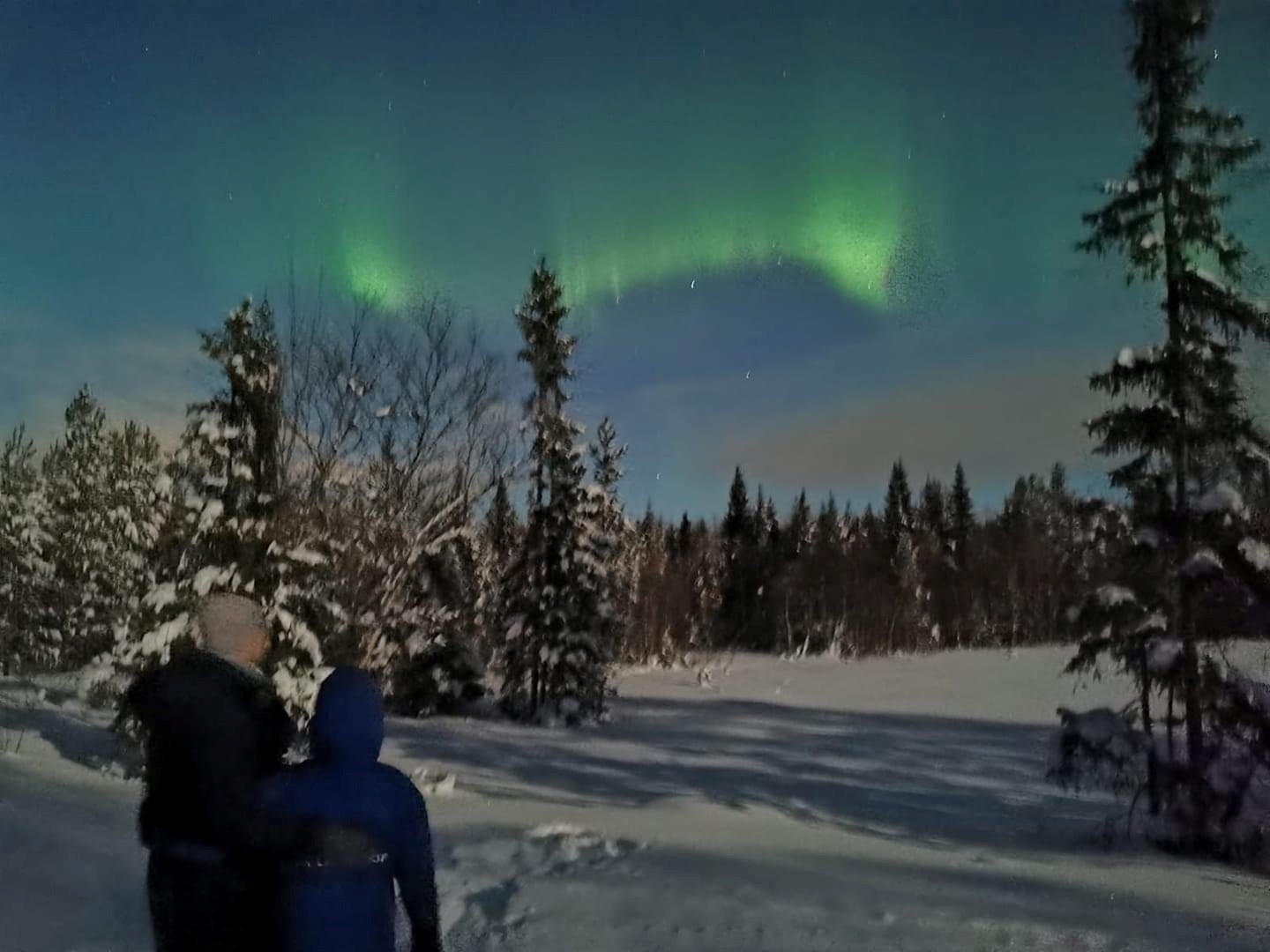 Norrsken över Fjällbyn