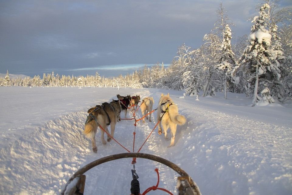 Hundsläde