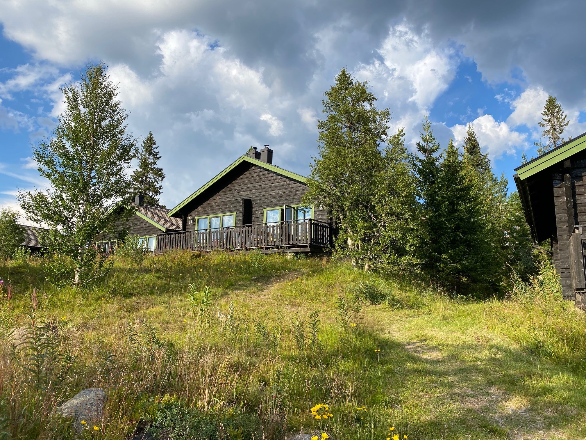 Sommarbild