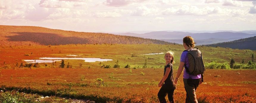 Södra Kungsleden, startar vid Högfjällshotellet.