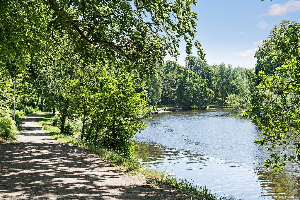 Vackra omgivningar