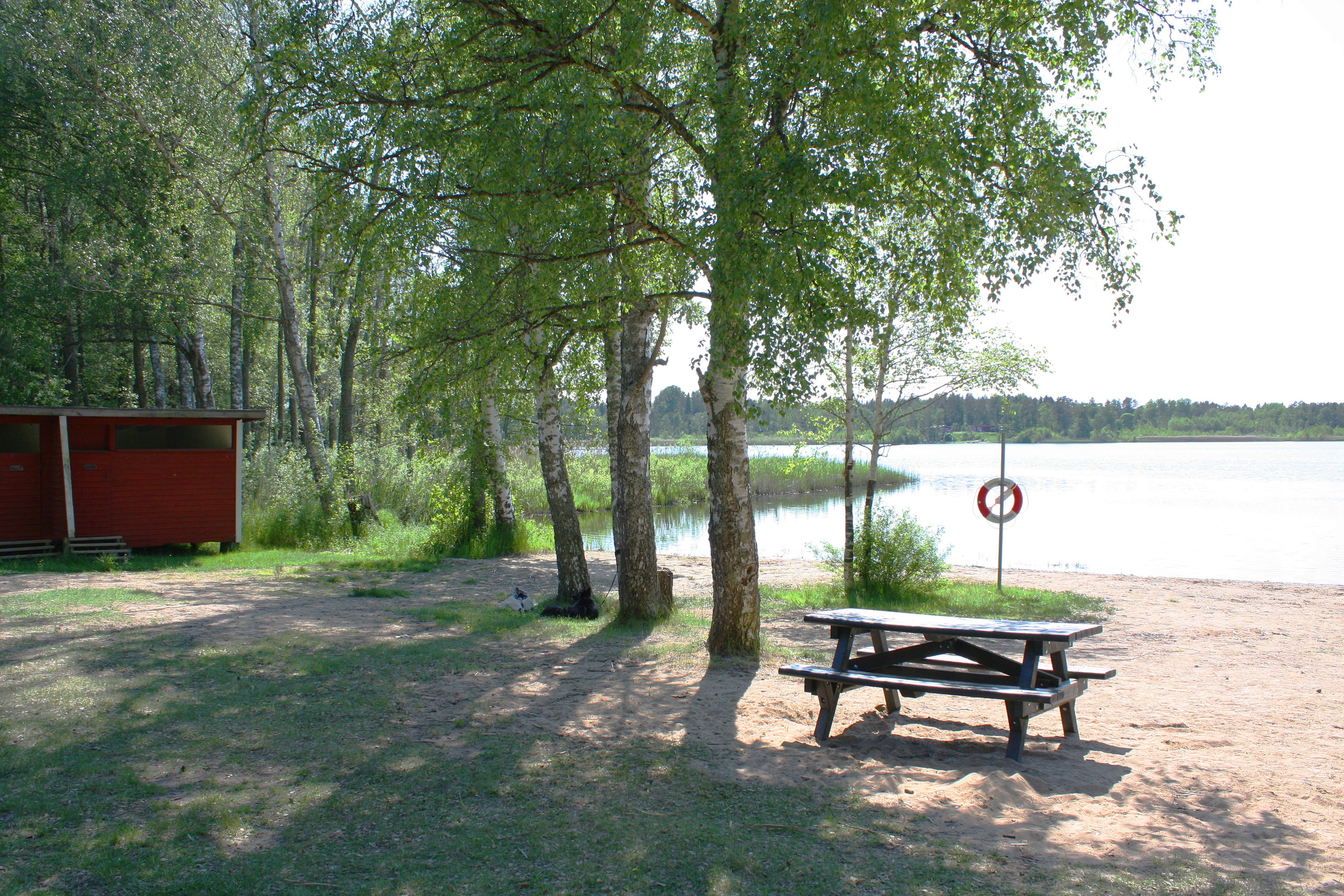 Vängsjöns badplats bild 3