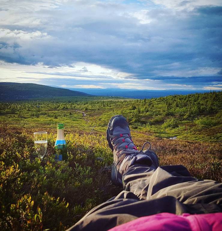   Bara vara i naturen