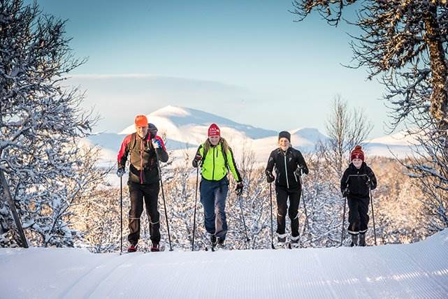  Familjära Sälen