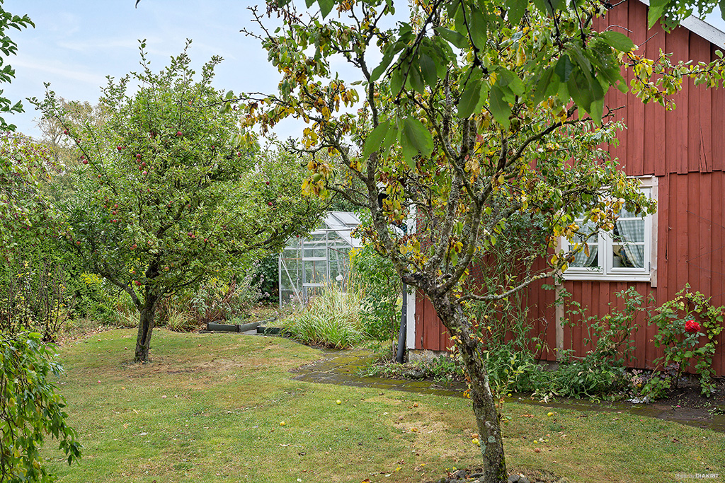 Artrik trädgård med växthus