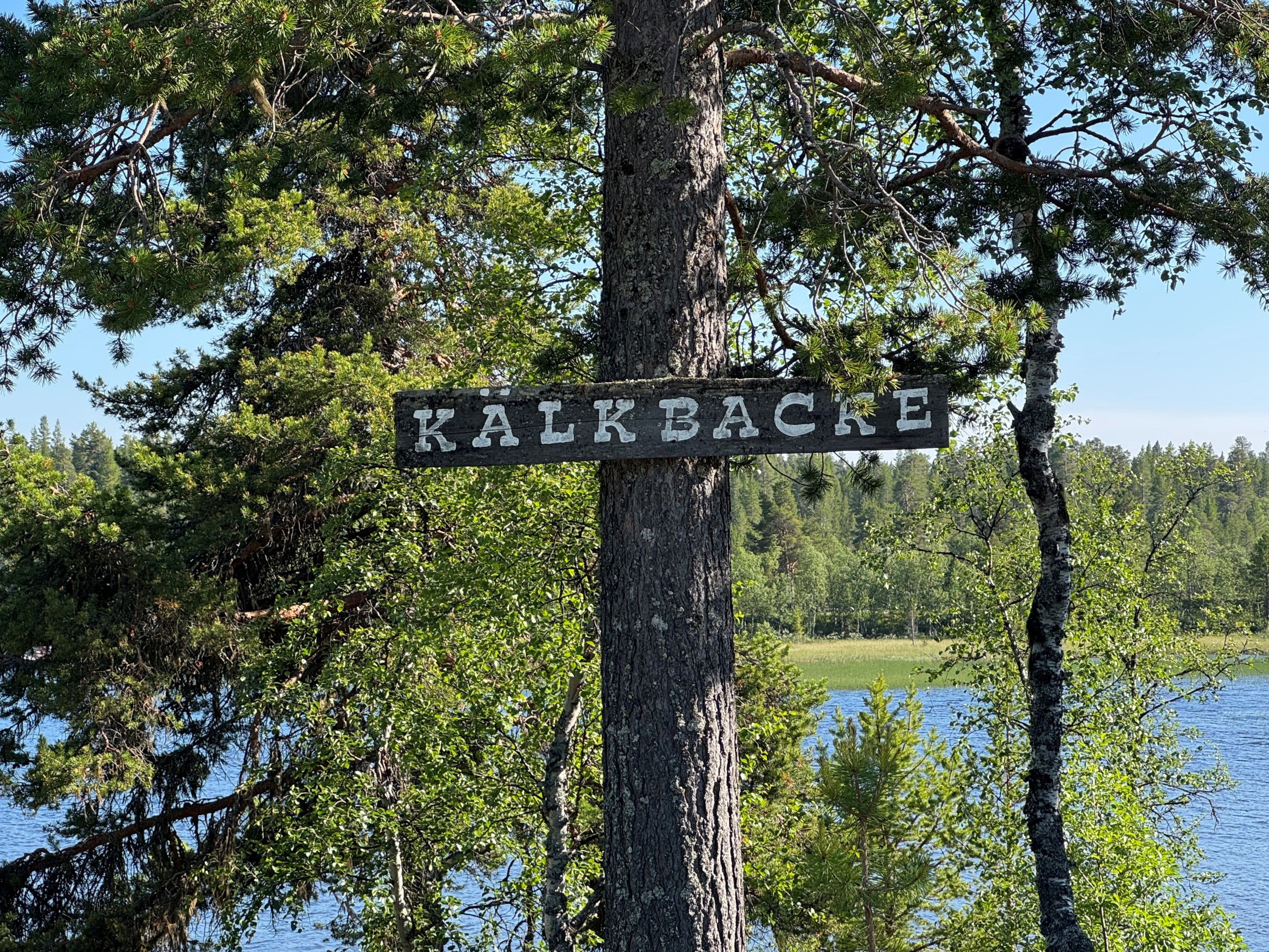 Kälkbacke för de små i Fjällvattnet