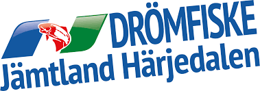 Drömfiske