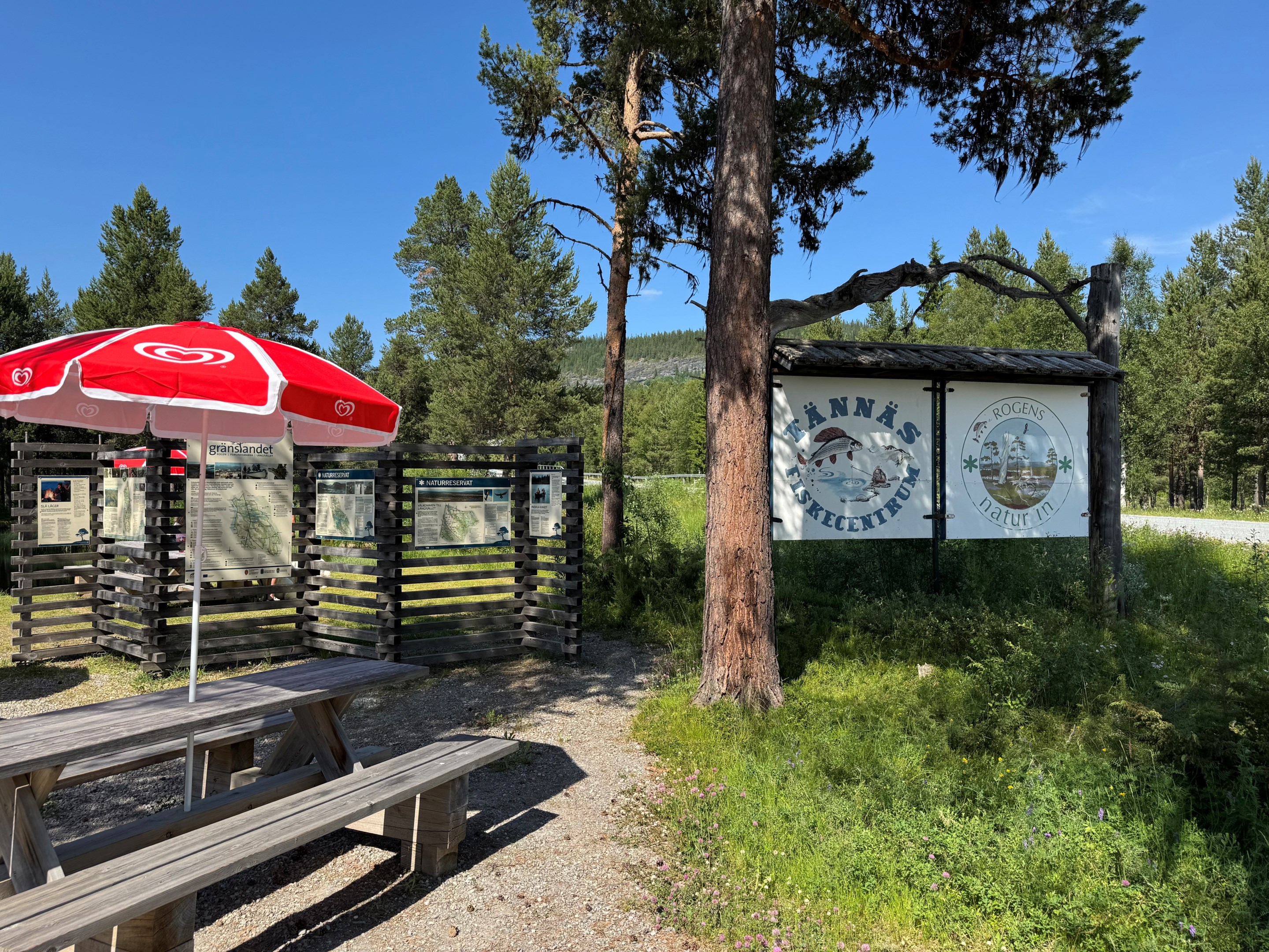 Levande Fjällby T