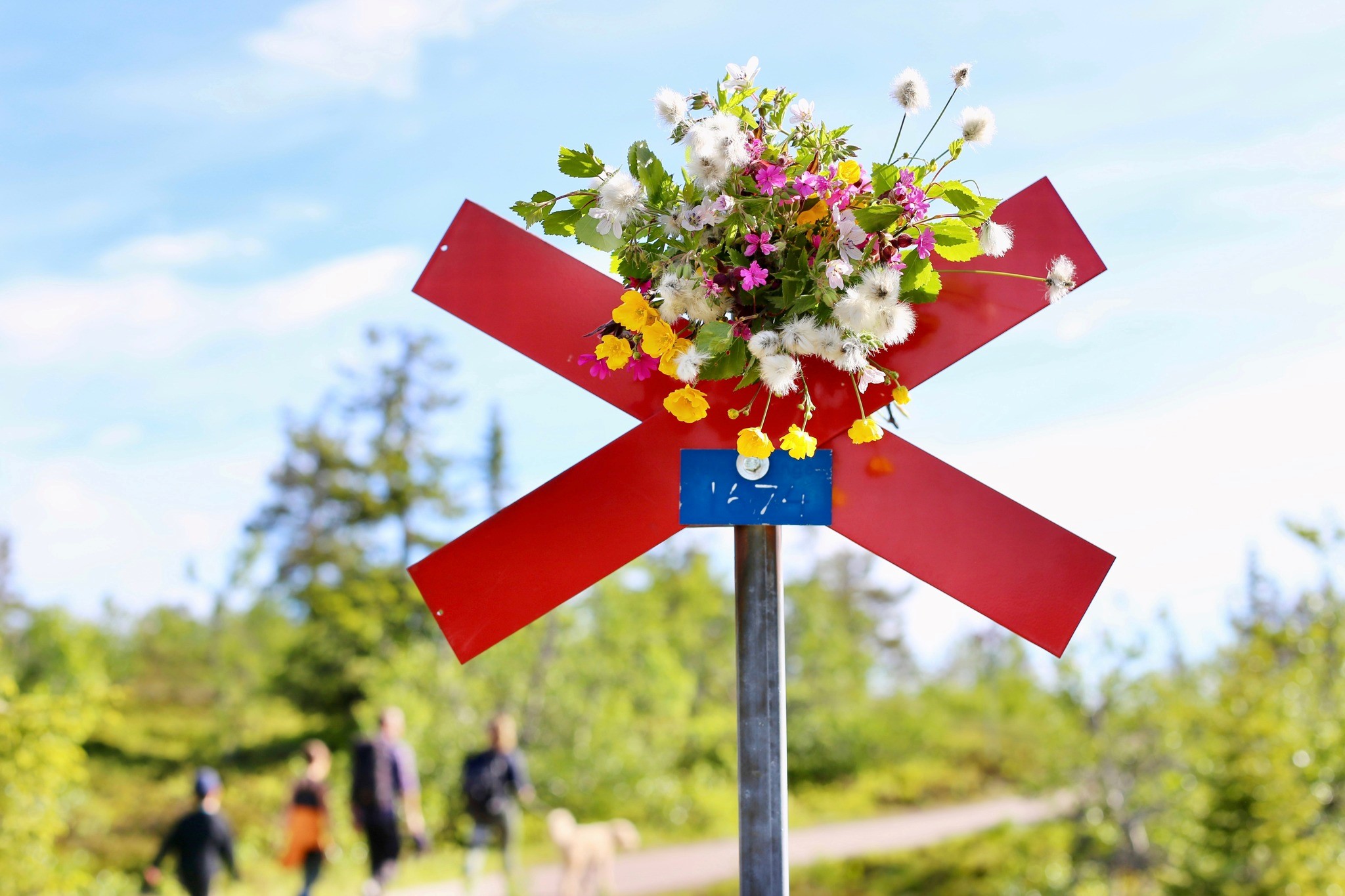 Midsommar vecka 25