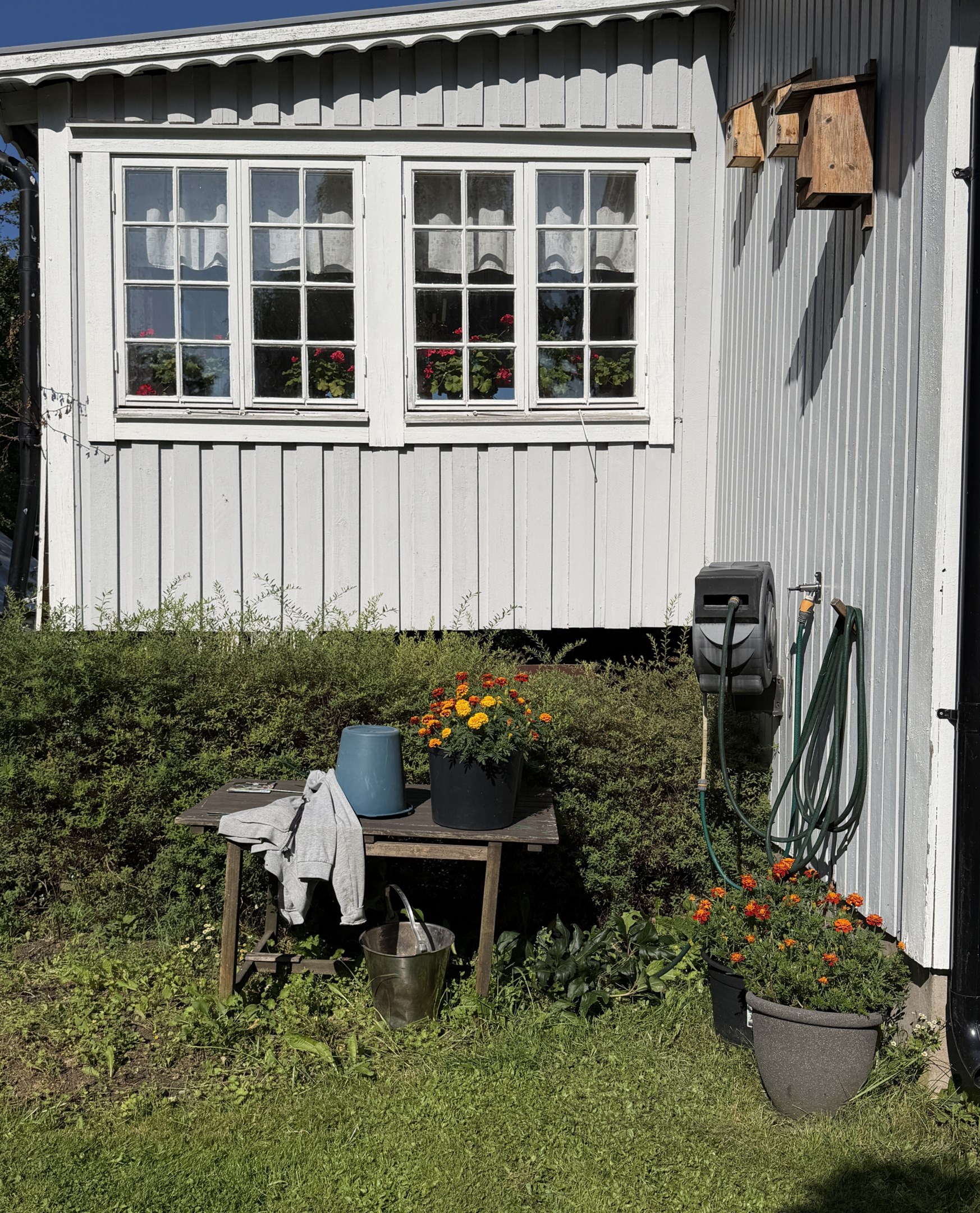 Fin hörna att jobba i