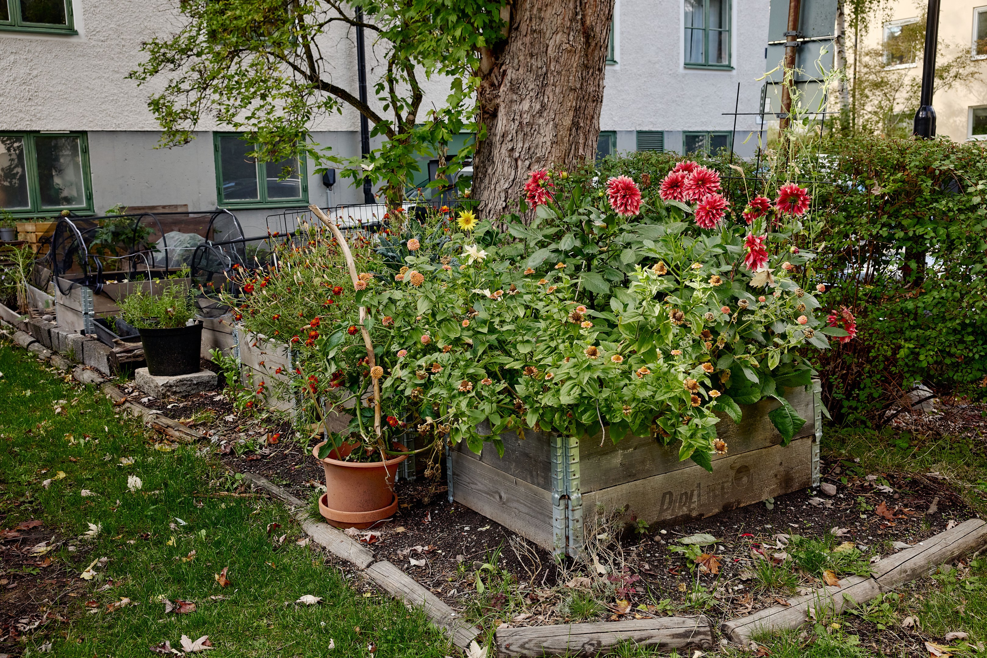 Bostadsbild från Nyårsvägen 10, 3 tr, Kommande i Midsommarkransen, Stockholm