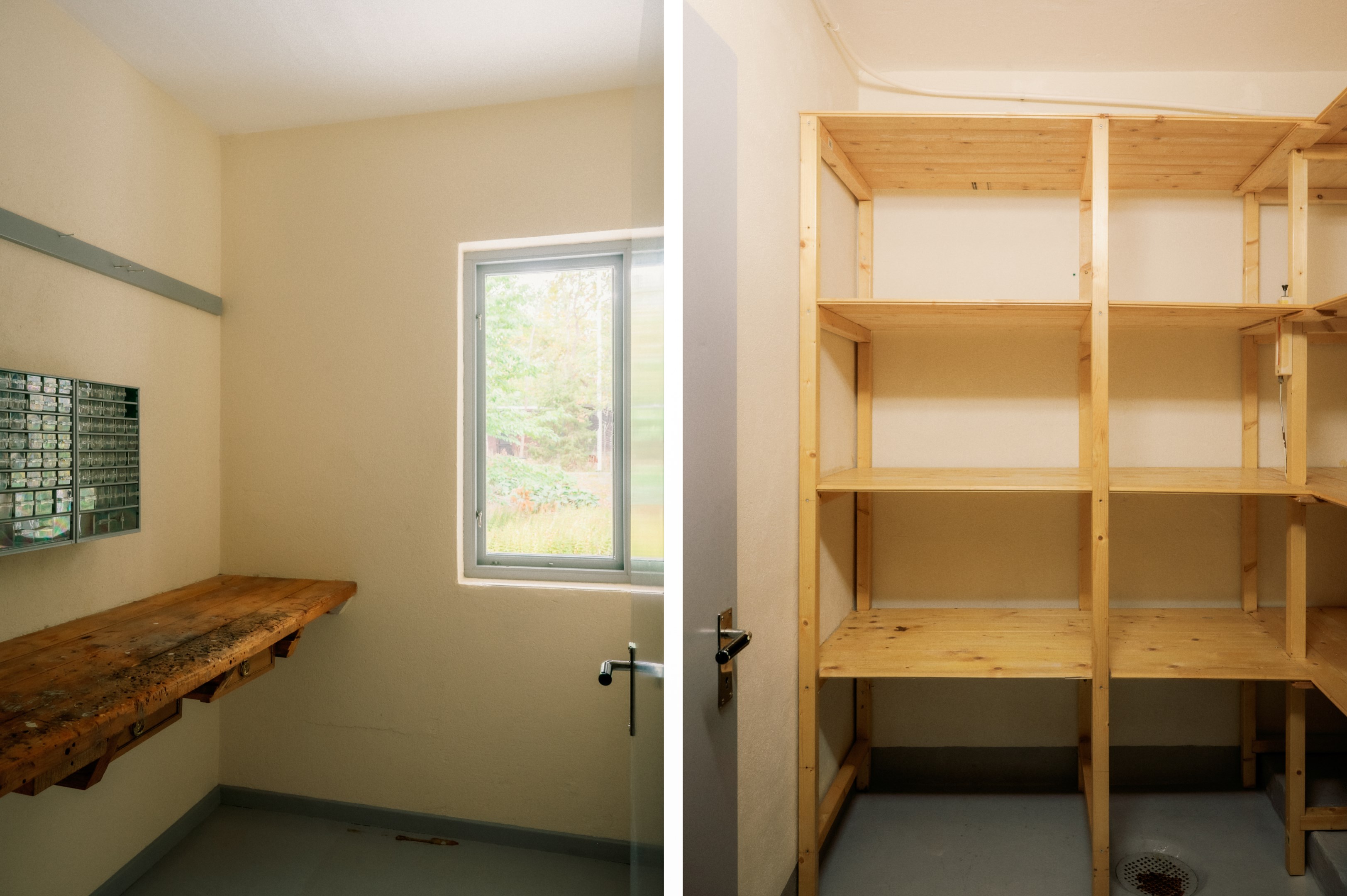 Verkstad och förråd i anslutning till det tidigare garaget