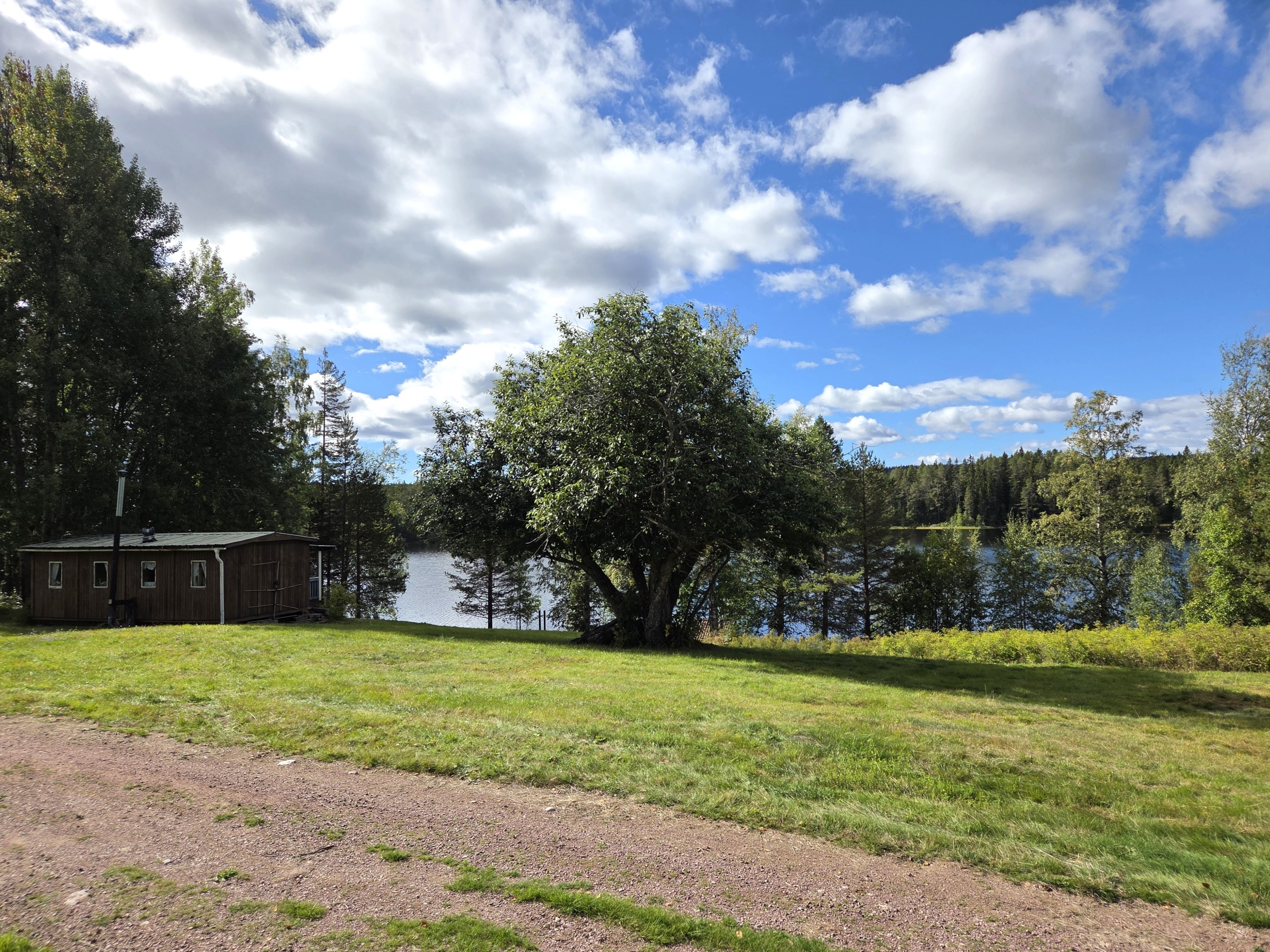 Vybild