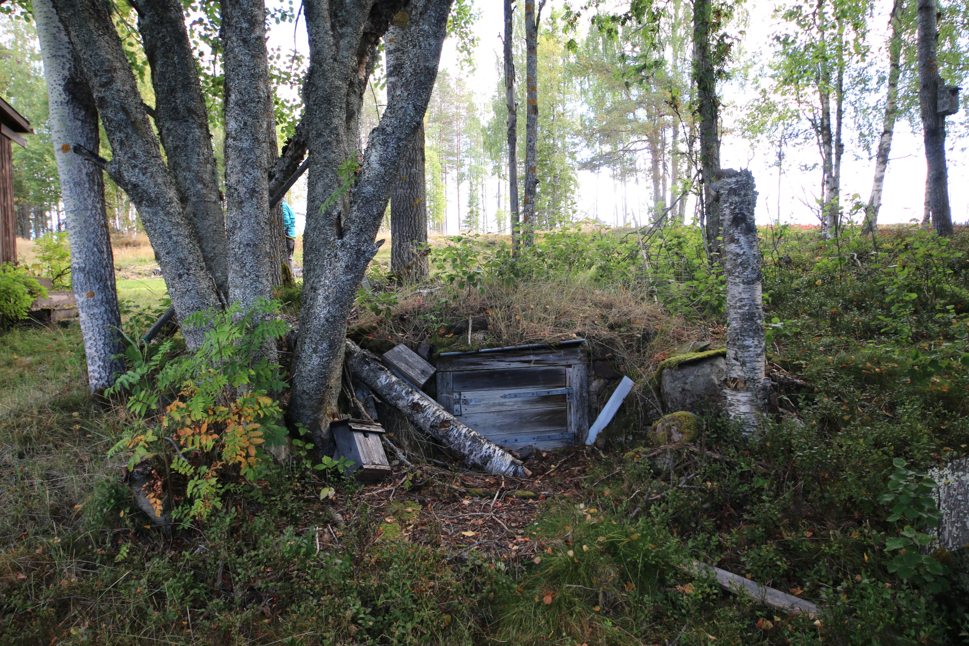 Jordkällare