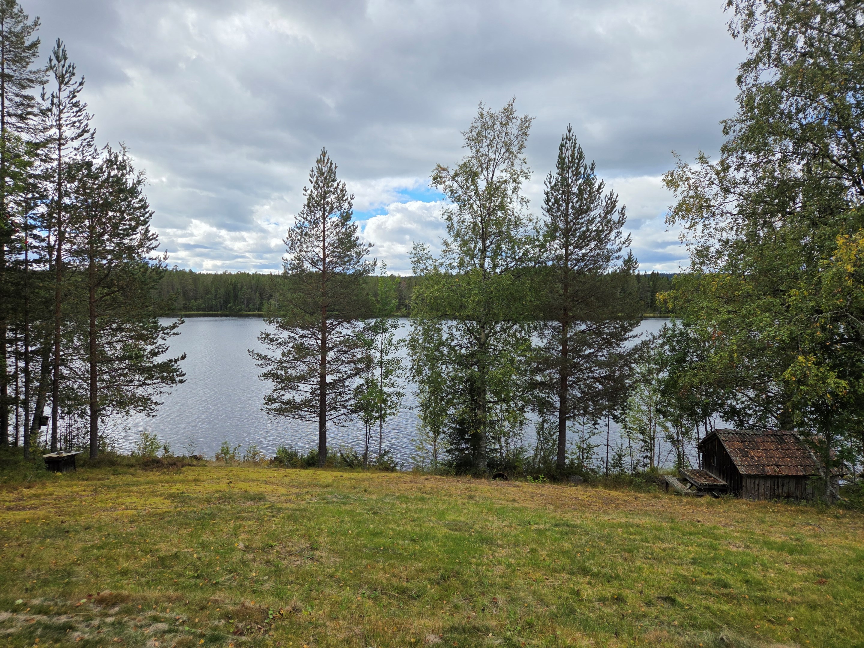 Vybild