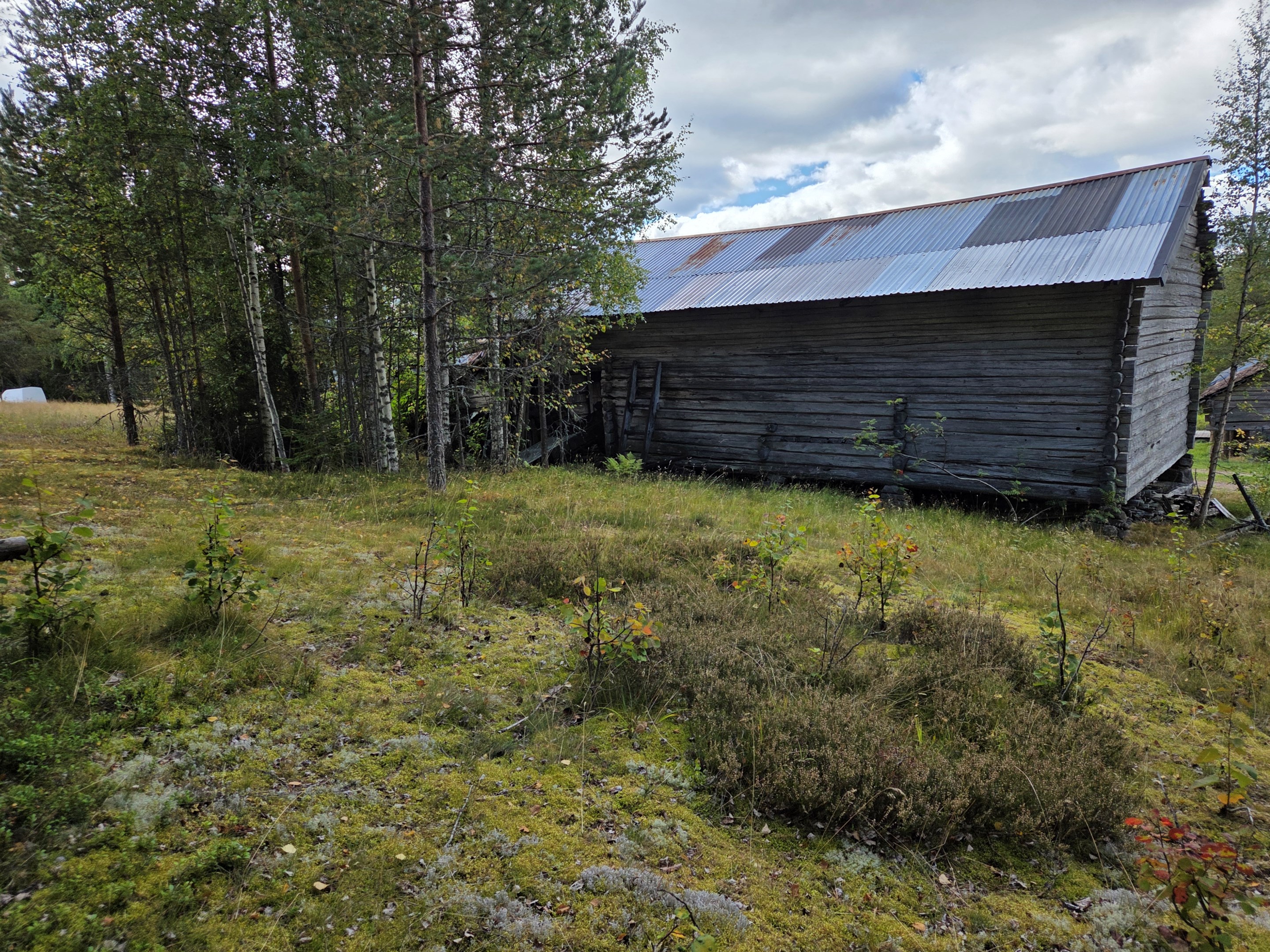 Hölada