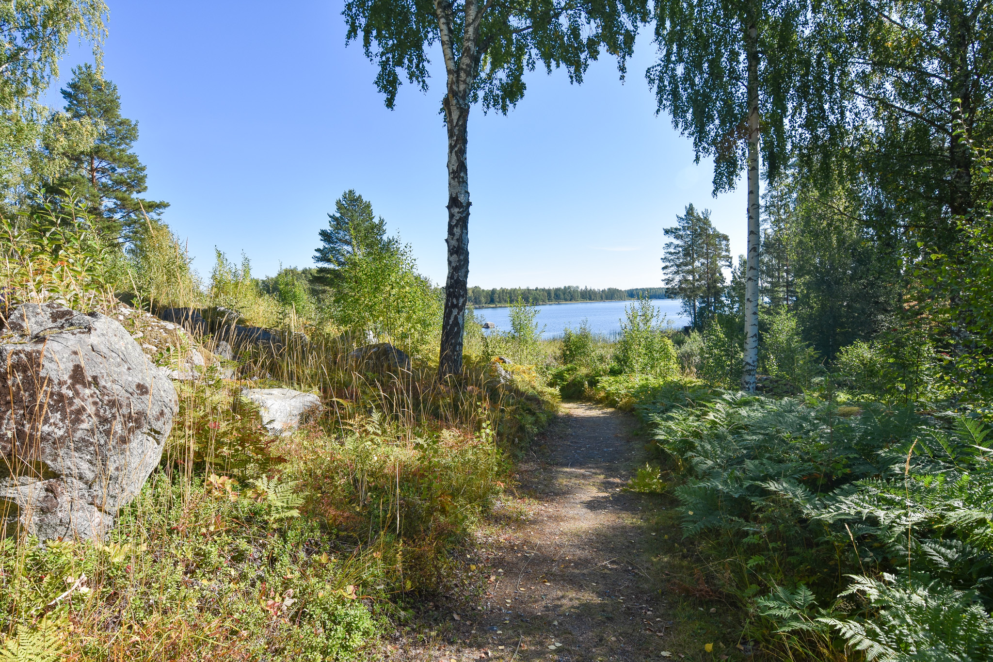 Badplats/båtplats nedanför stugan