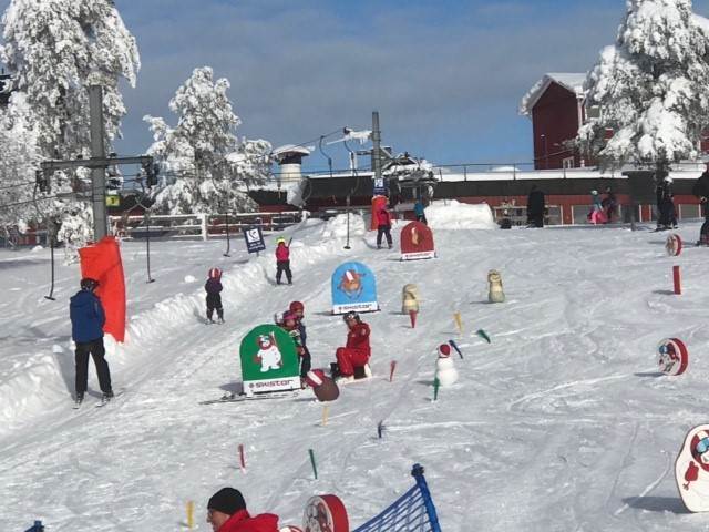 Lågupplöst Skidskola