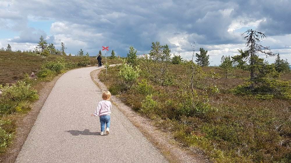 Lågupplöst Undret är att vandra i fjällen