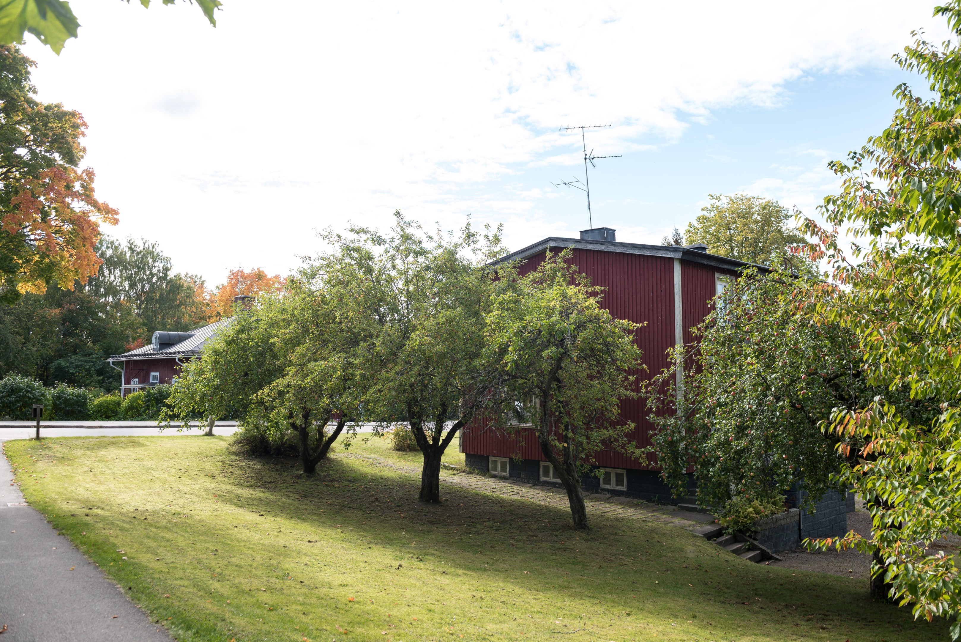 Trädgård