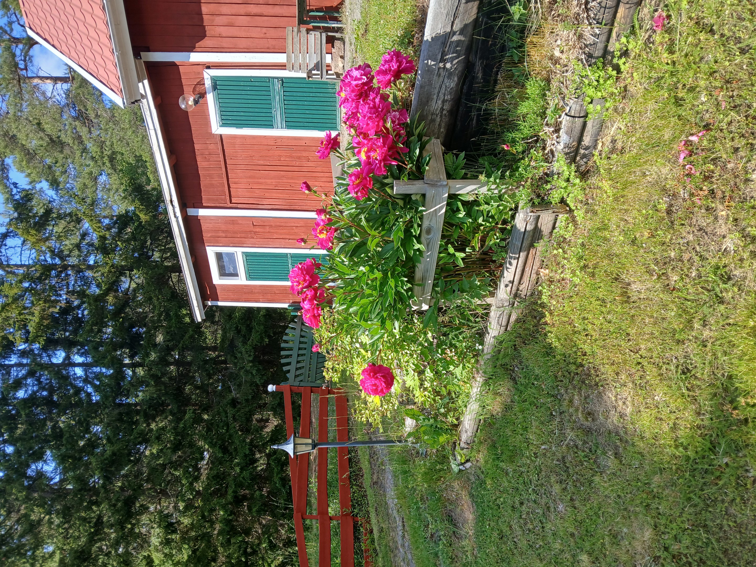Pioner - säljares bild