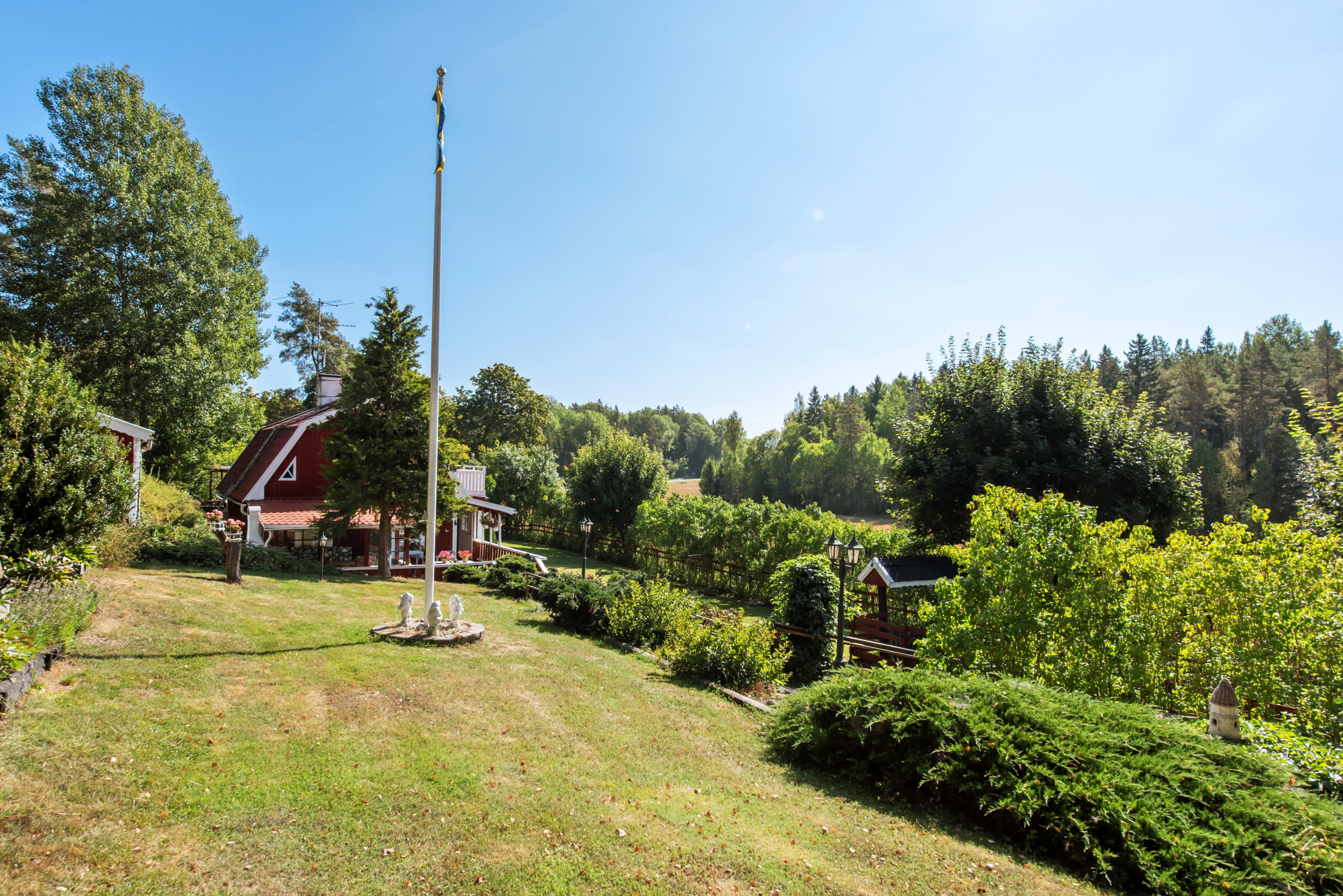 Gräsmatta