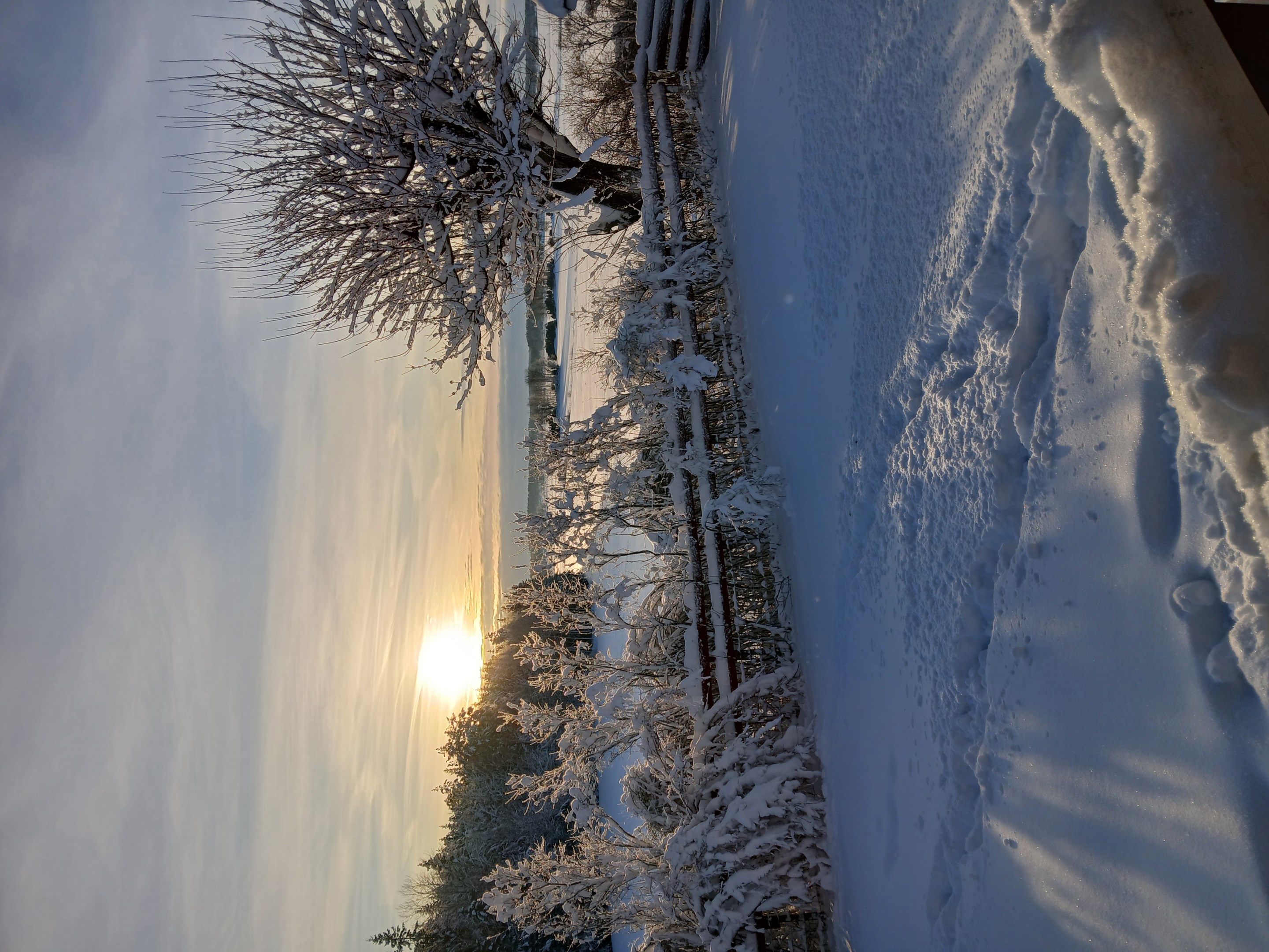 Vinterbild - säljares bild