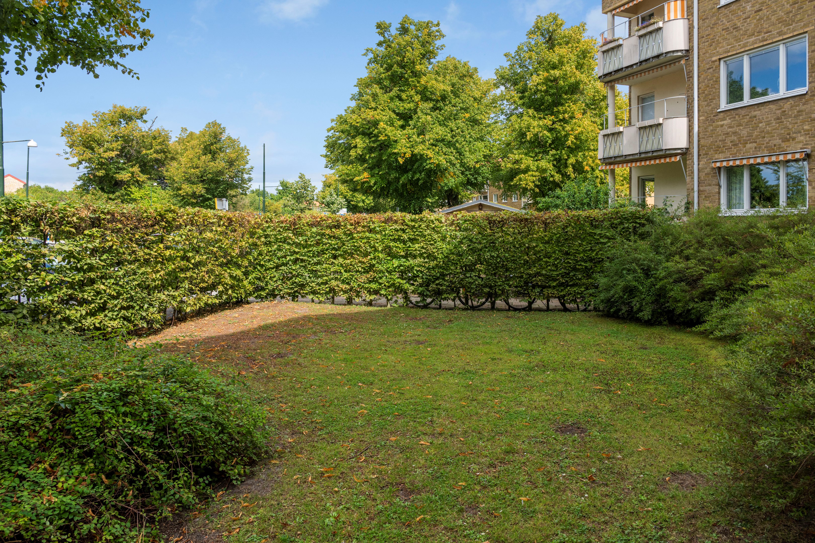 Härlig grönska kring huset