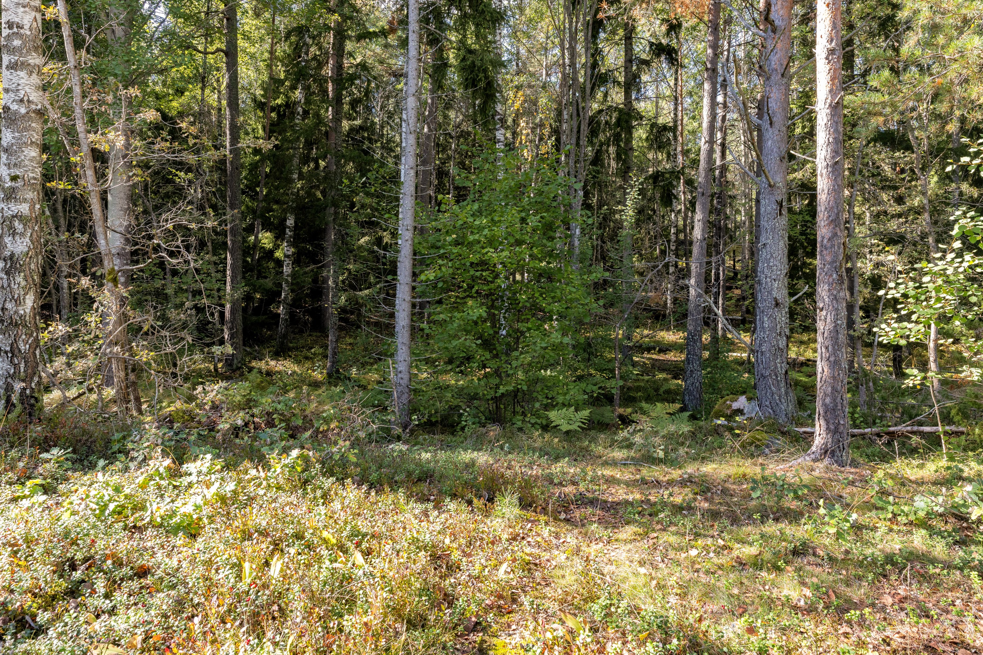 Bostadsbild från Eksoppsvägen 49, Kommande i Norby, Uppsala