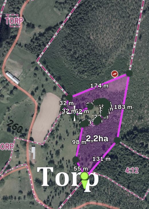 Skogen