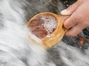 Porlande bäck levande vatten