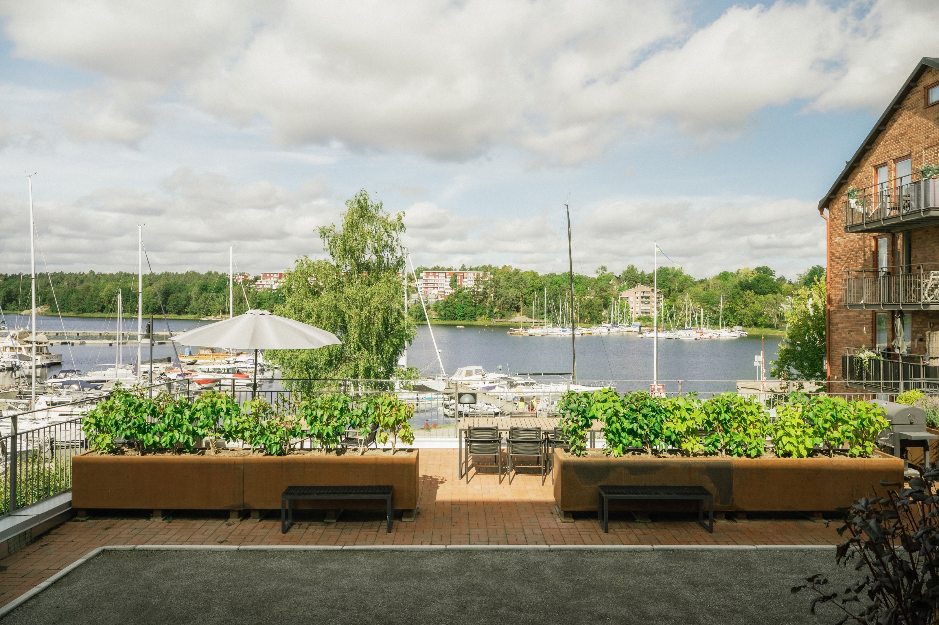 Föreningens gård