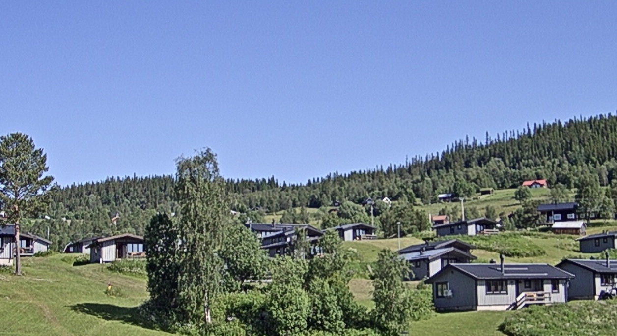 En oas uppe på fjället