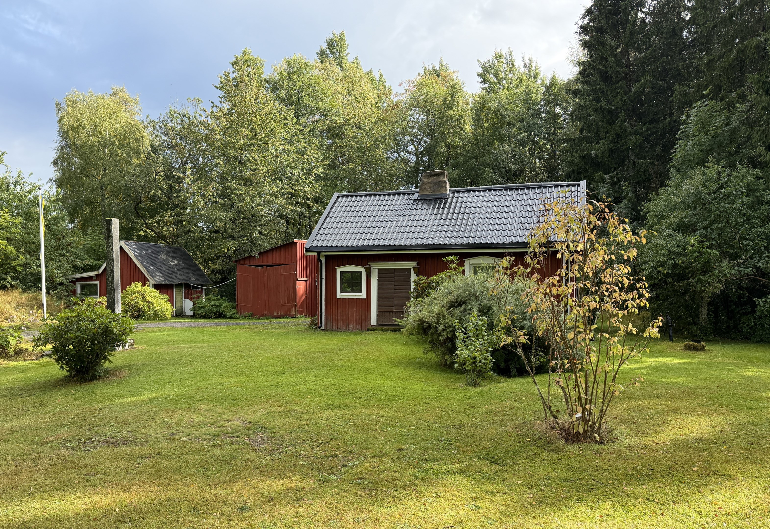 Mycket fin tomt med skyddande träd i ryggen