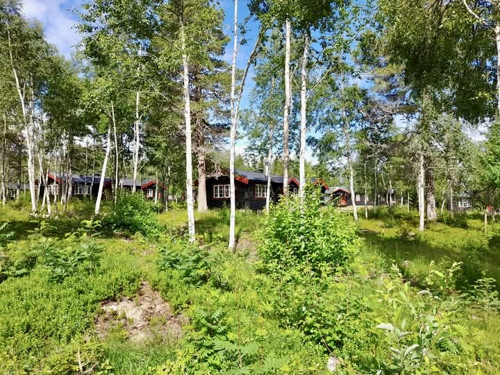 Natur Brf Björnbyn