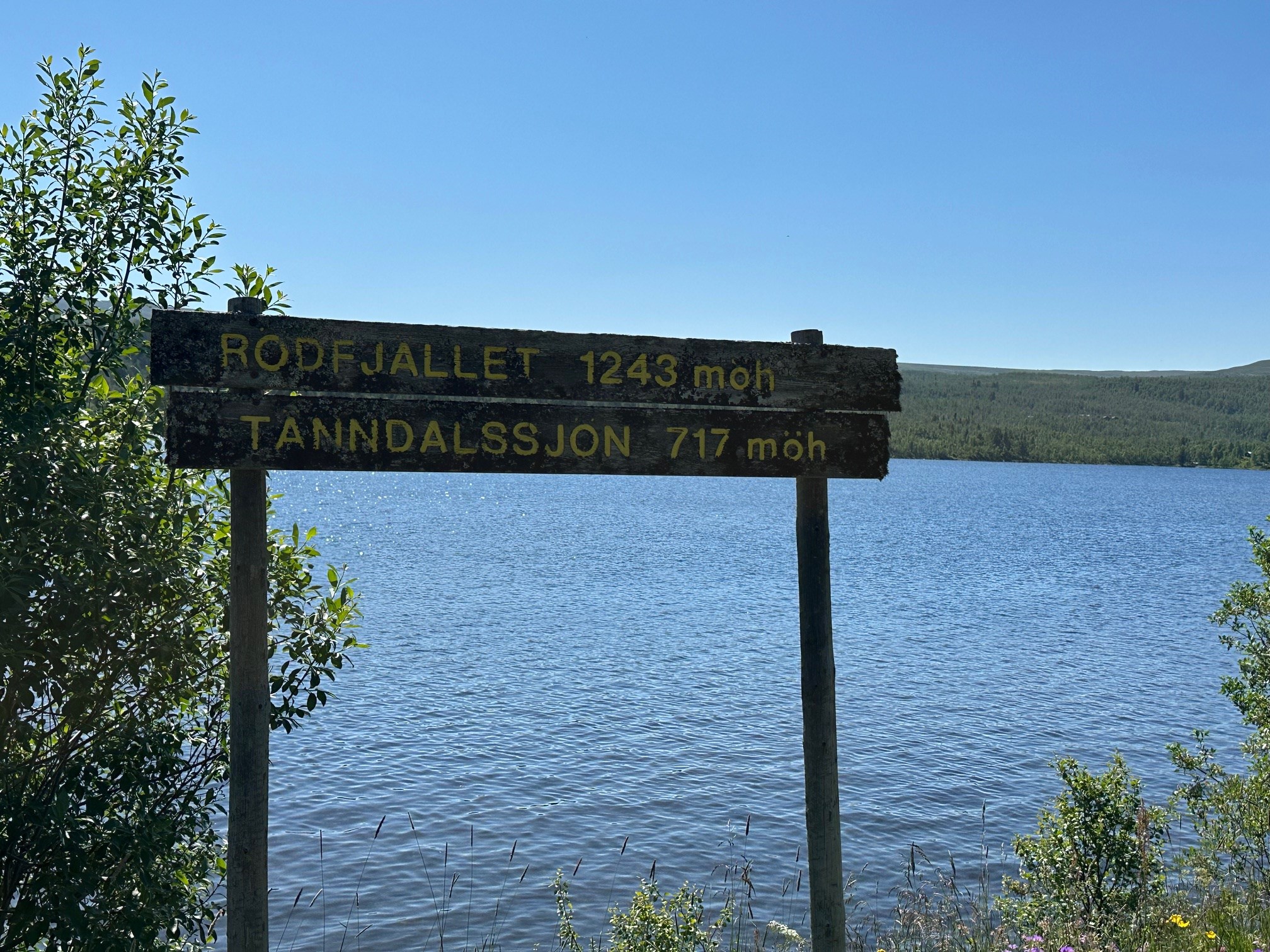 Tänndalsjön 717 möh