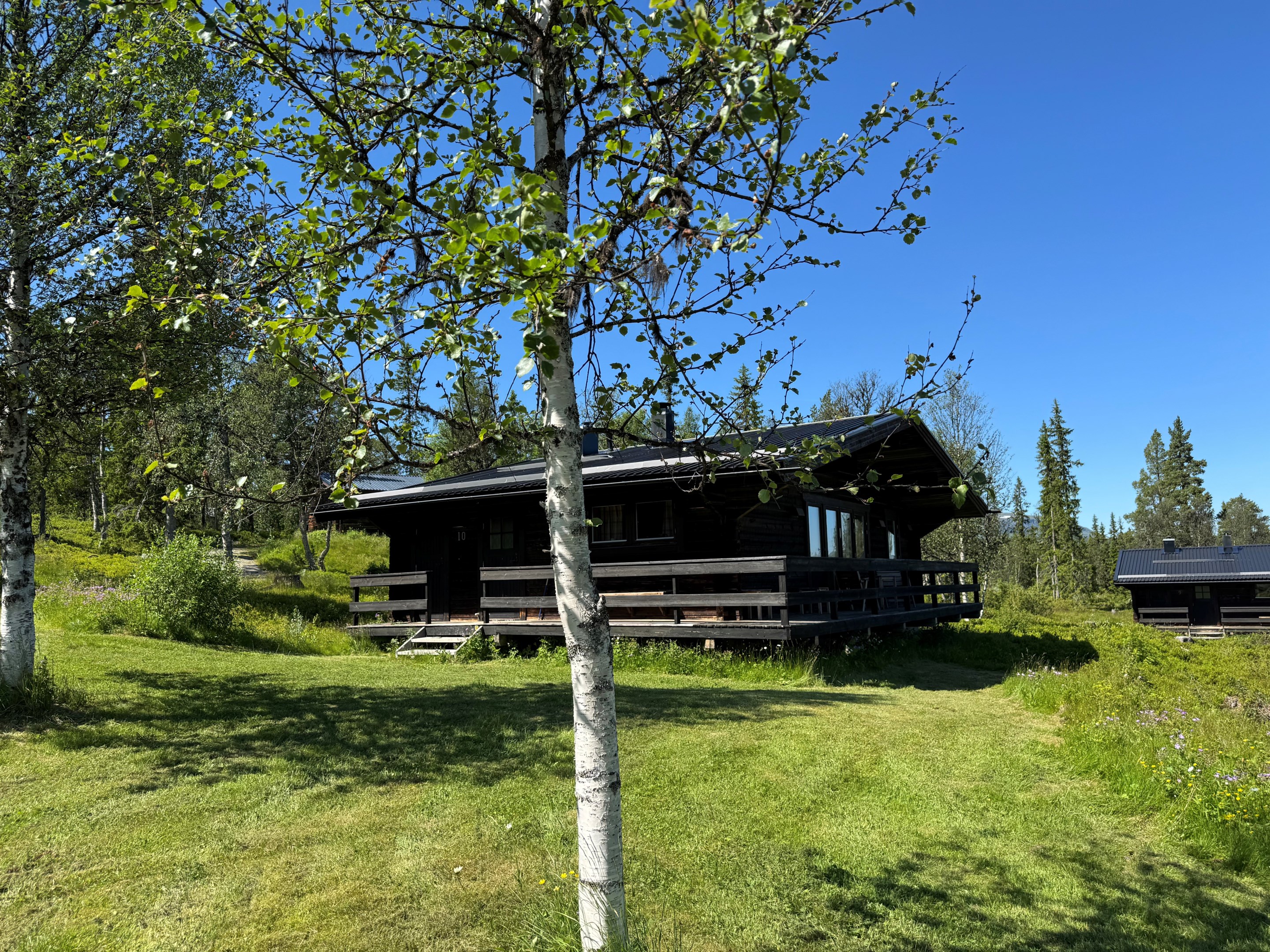 Tillbaka till naturen