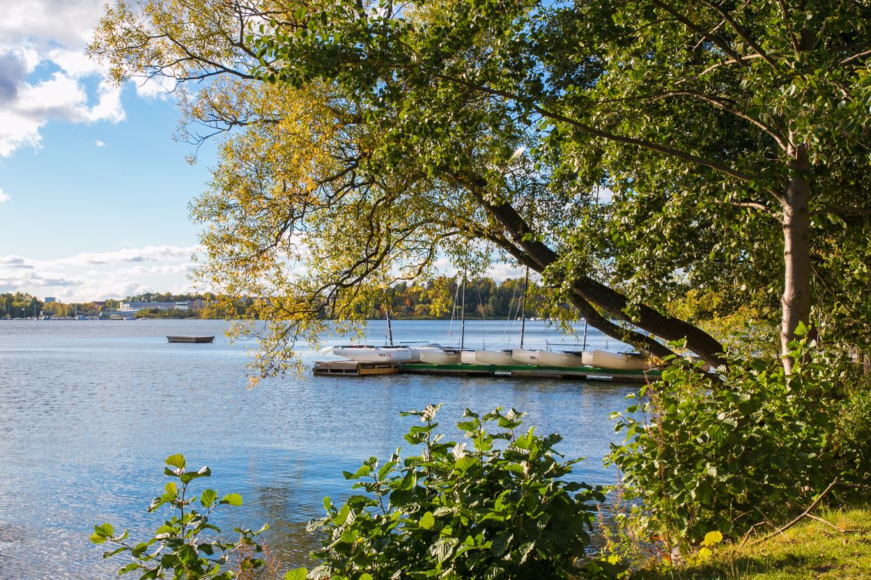 Bostadsbild från Solnavägen, Till salu i , Solna