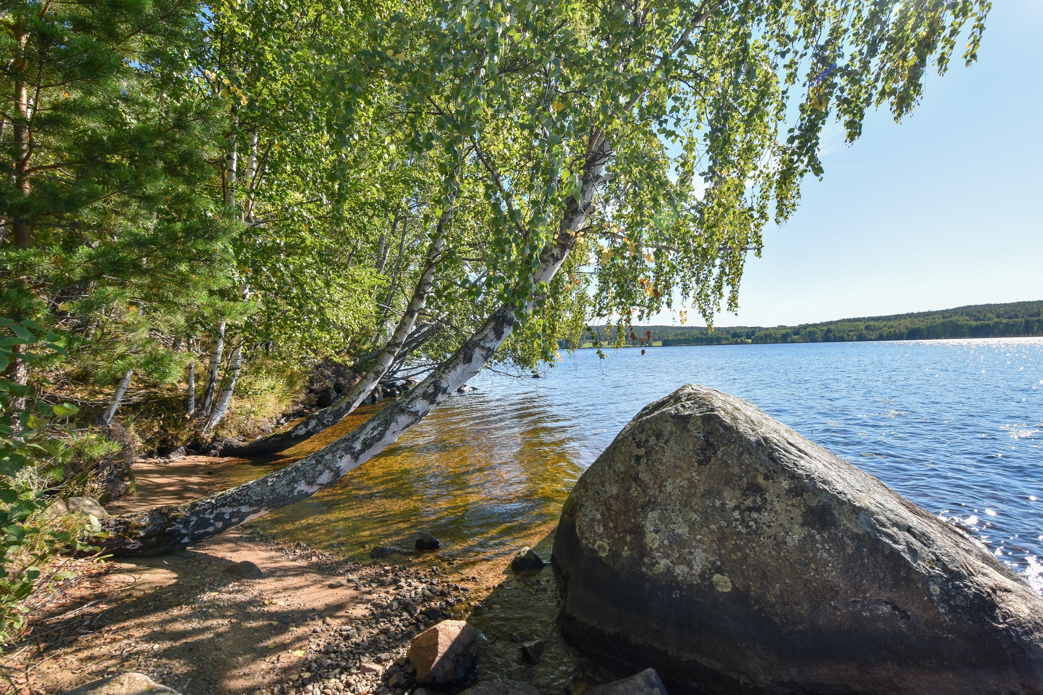 Bergviken - Strand