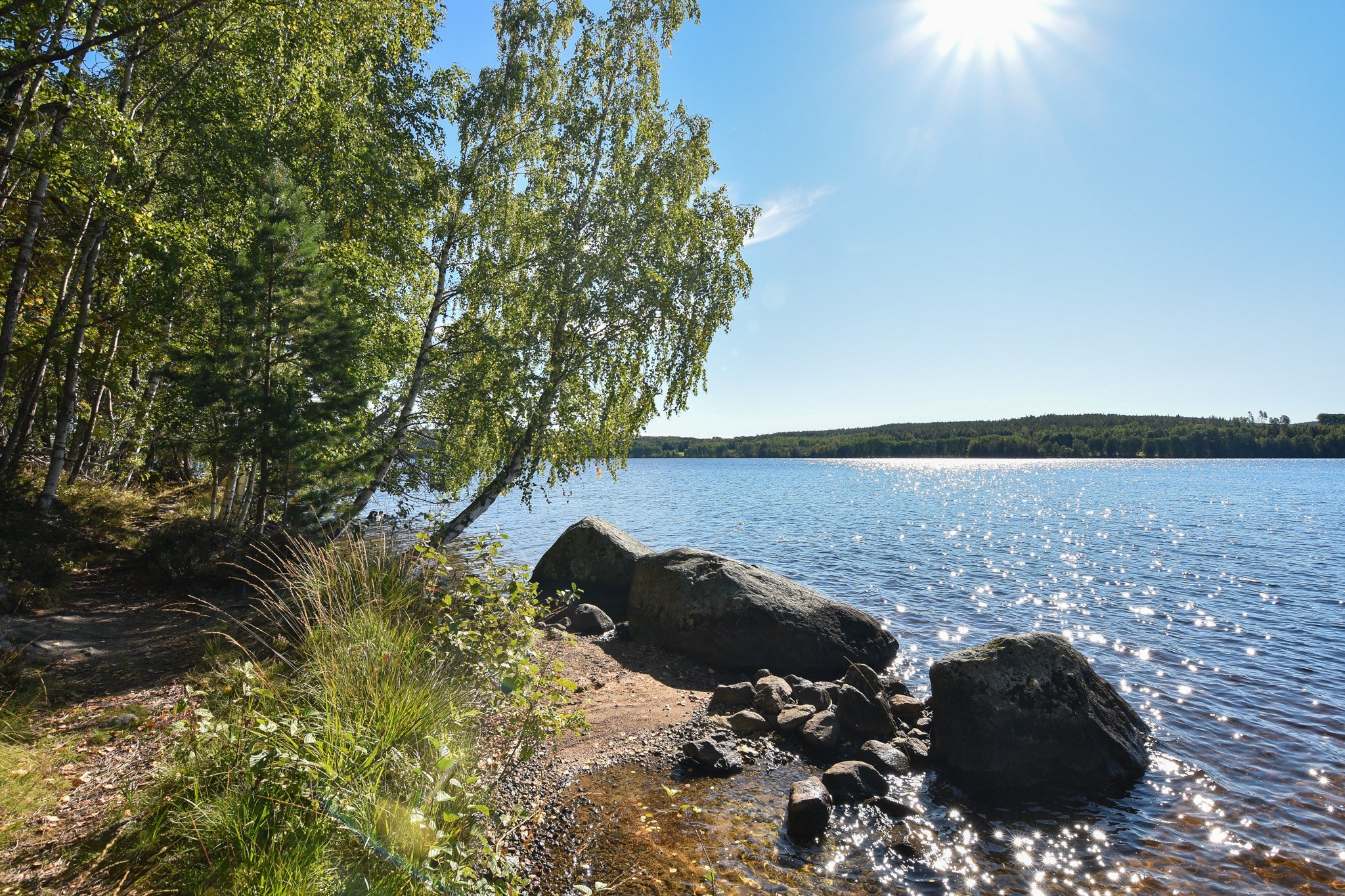 Bergviken
