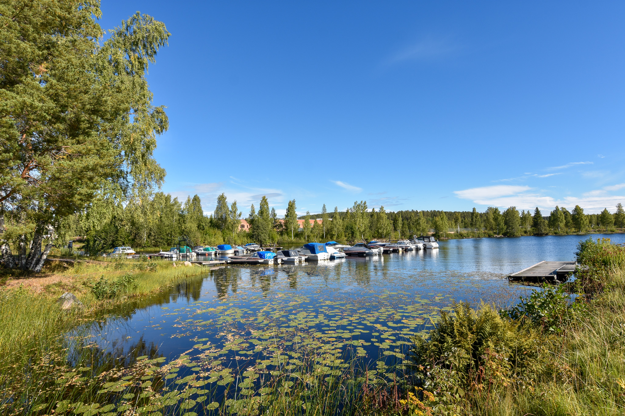 Bergviken - Båtplatser