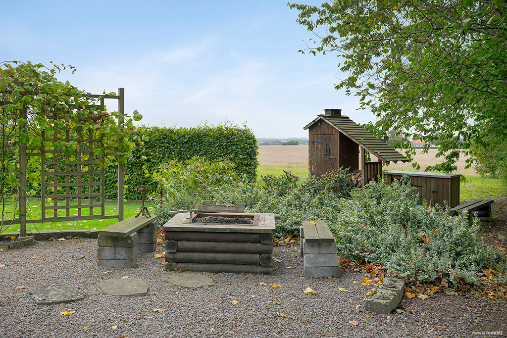 Trädgård