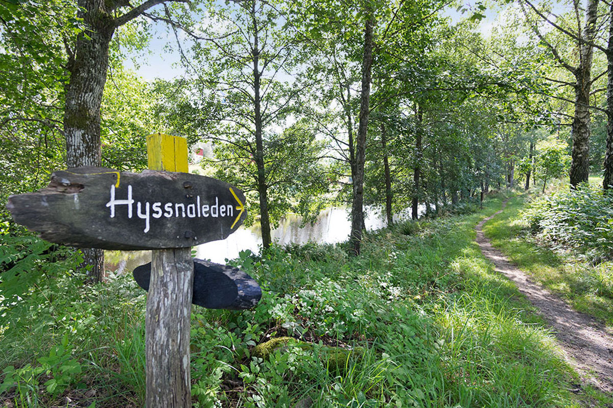 Hyssnaleden