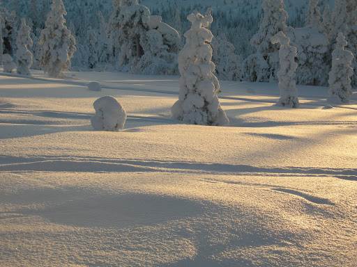   Gnistrande snö