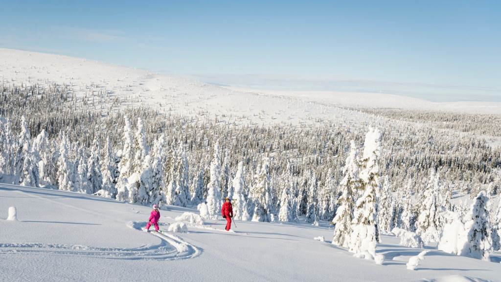   Vi som älskar snö