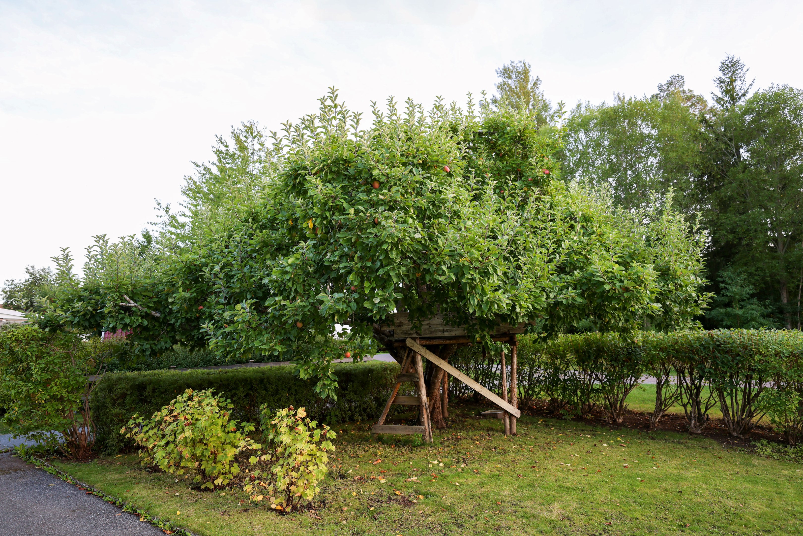 Bostadsbild från Solstrålevägen 23, Kommande i Storvreta, Uppsala