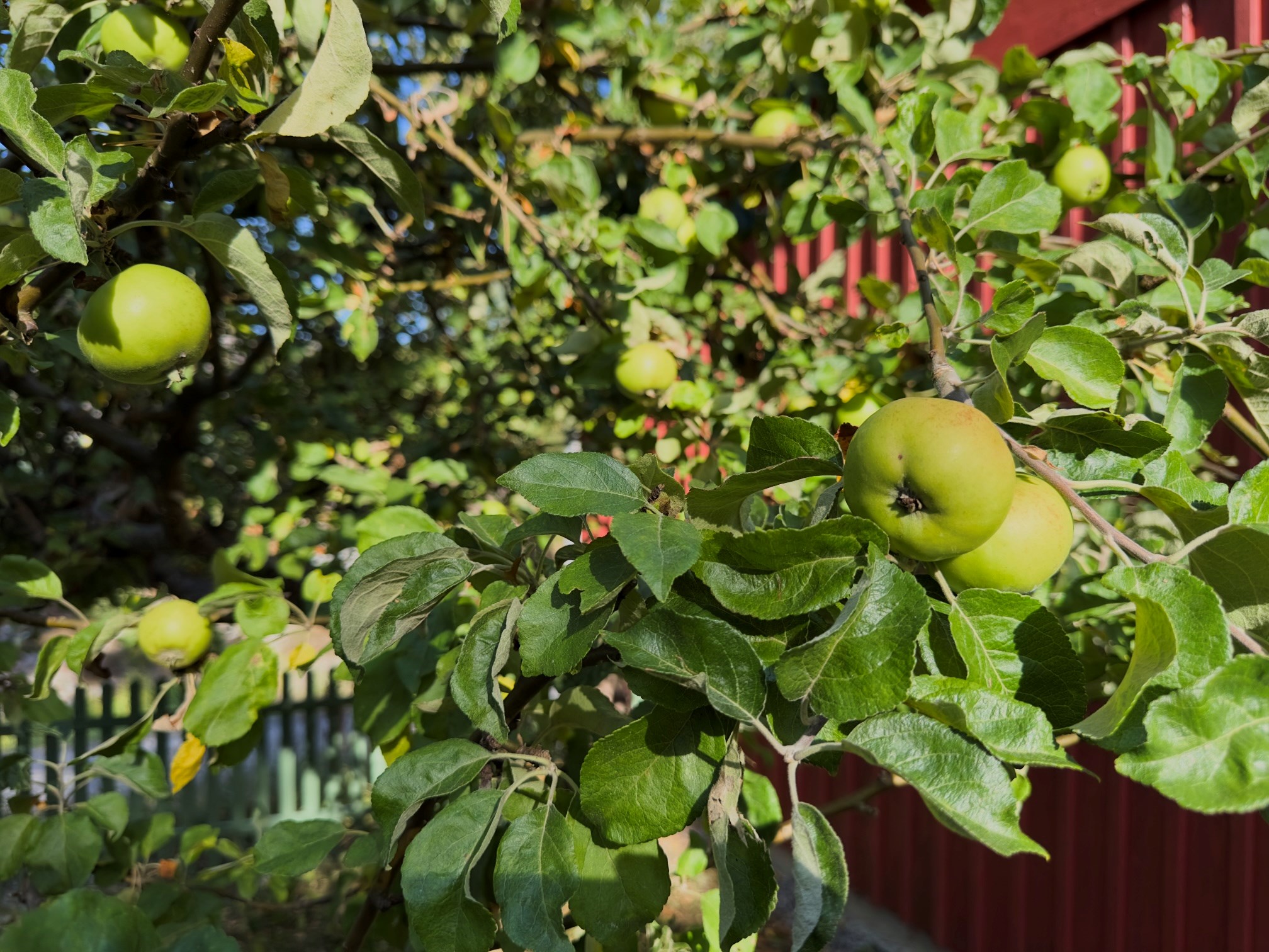 Bostadsbild från Klysvägen 3, Kommande i Södra kopparmora, Värmdö