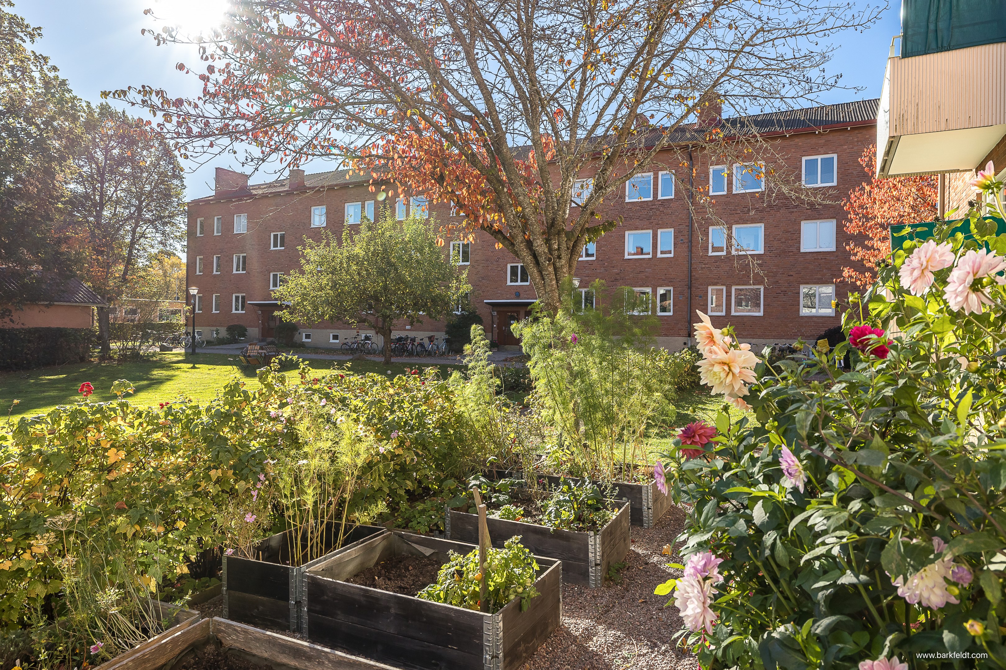 Bostadsbild från Tegnérgatan 38 B, Till salu i Luthagen, Uppsala