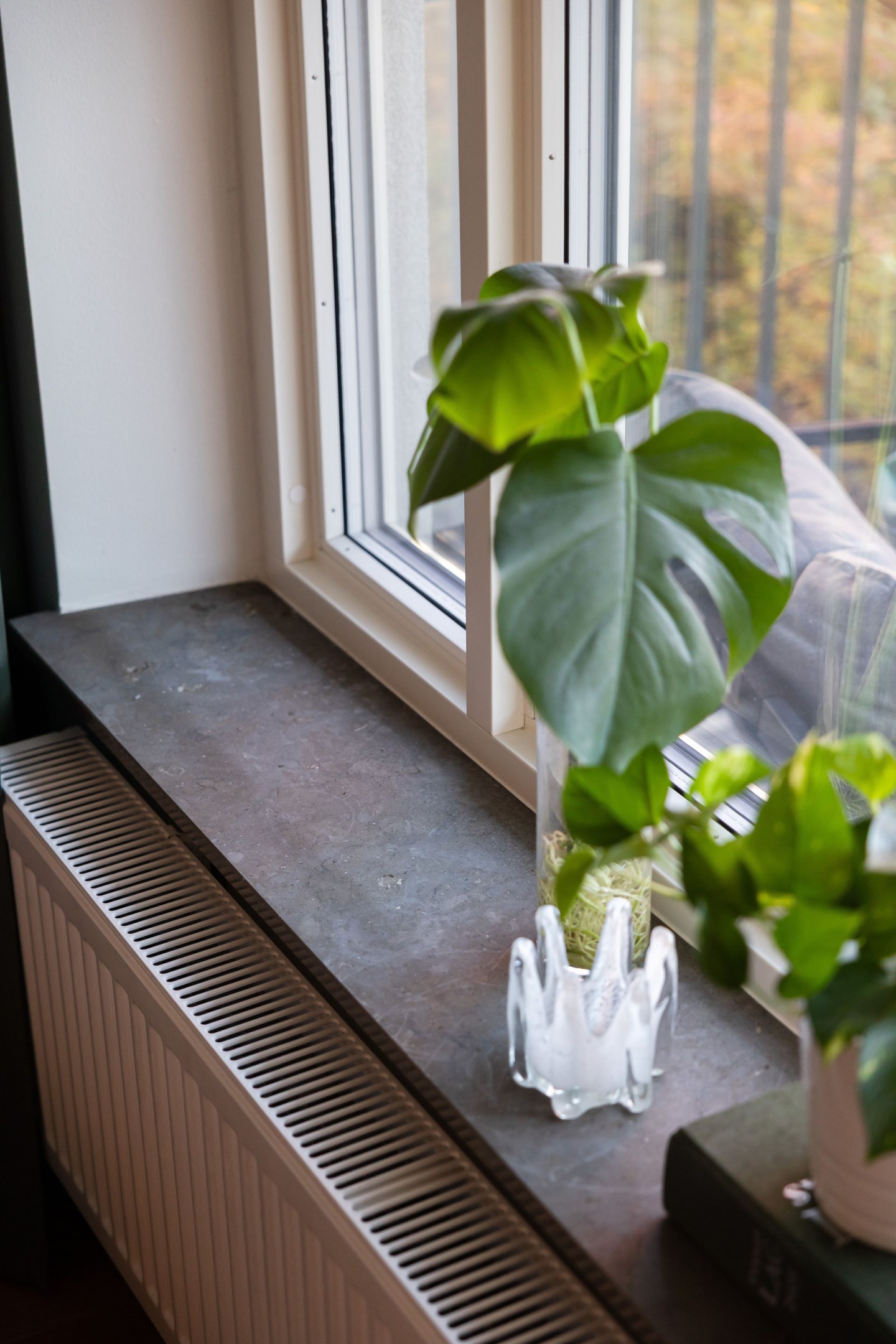 Bostadsbild från Råbyvägen 86, Kommande i Kapellgärdet, Uppsala